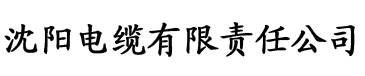 丰满熟妞区电缆厂logo